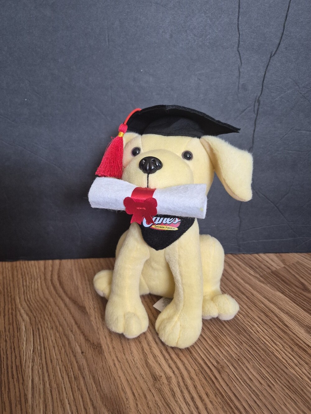 Raising Cane's Special Edition Graduation Plush Puppy  In very good condition.